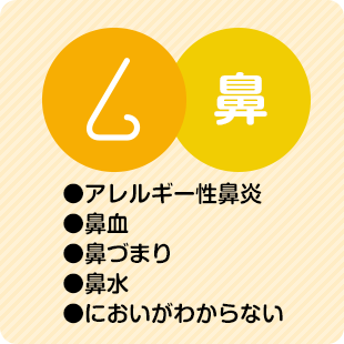 鼻：アレルギー性鼻炎／鼻血／鼻づまり／鼻水／においがわからない